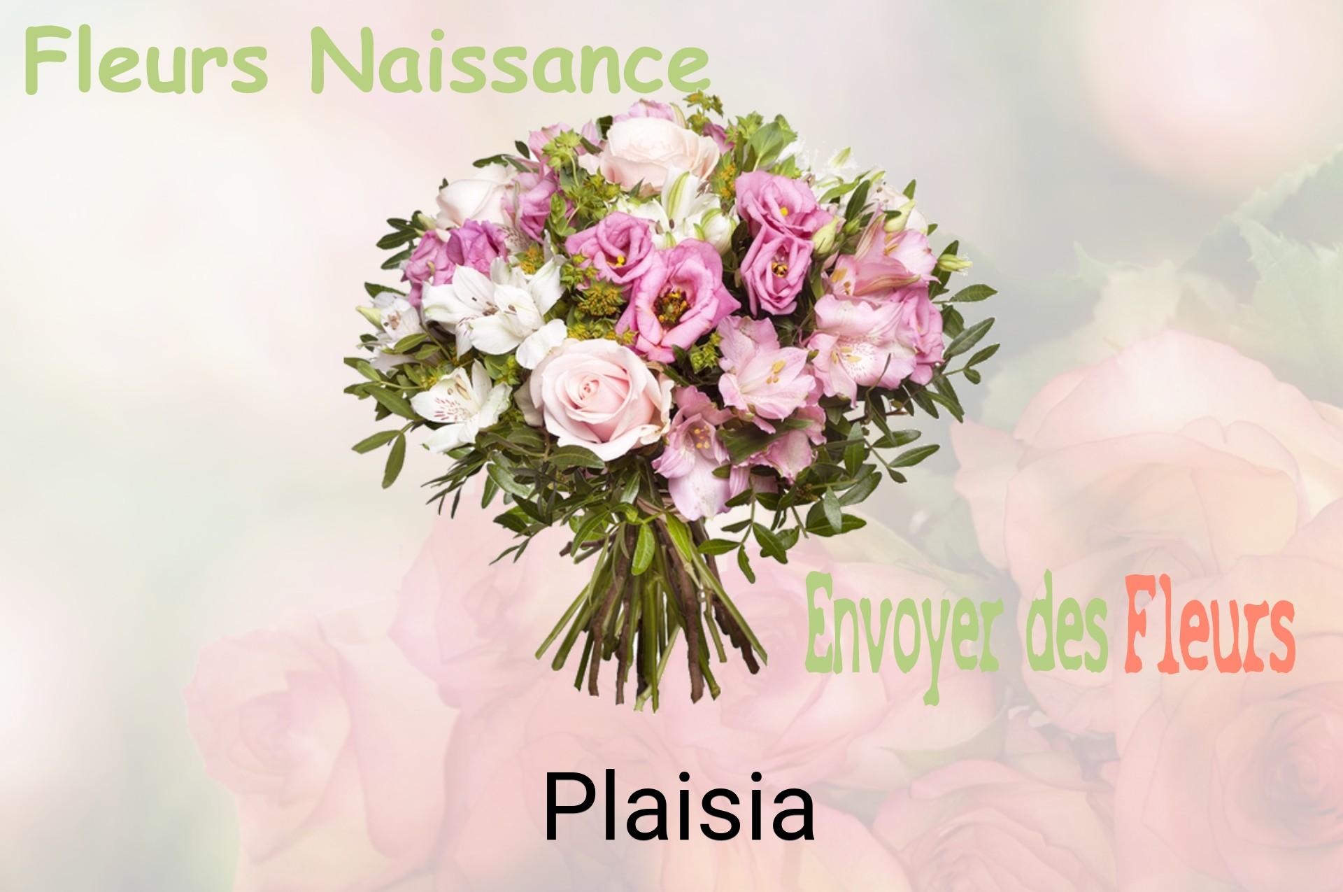 Bouquet de fleurs de naissance livré à Plaisia