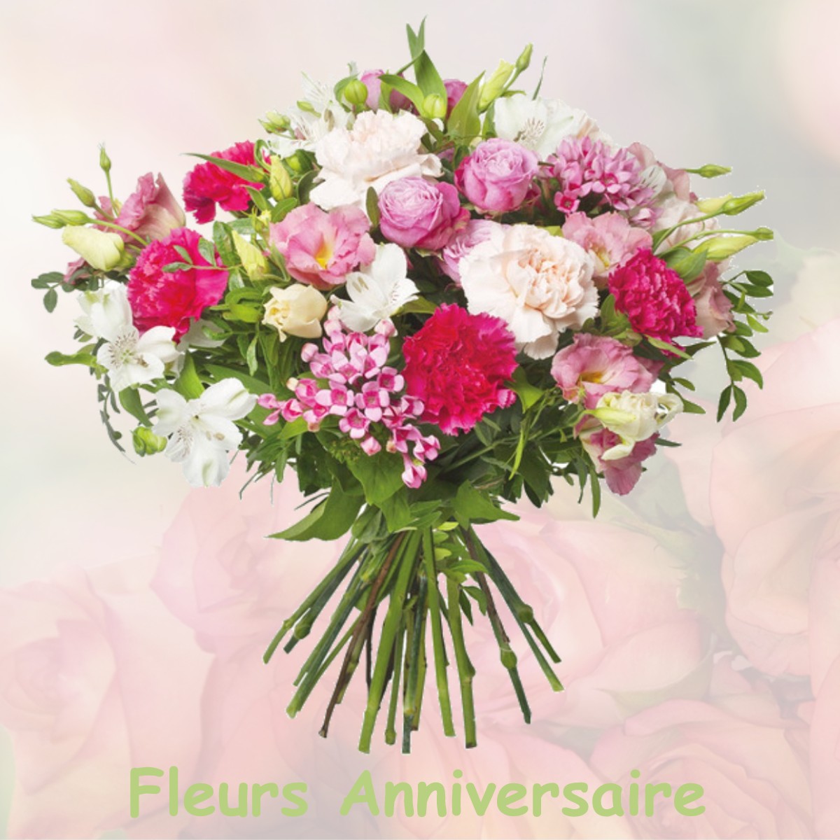 fleurs anniversaire PLAISIA