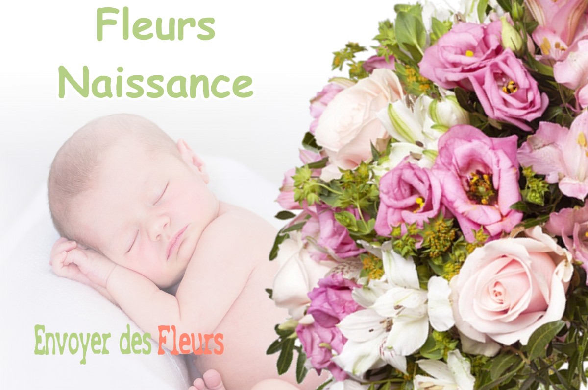 lIVRAISON FLEURS NAISSANCE à PLAISIA